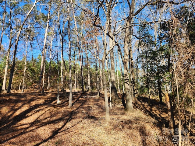 451 Low Bridge Rd, Forest City, NC 28043