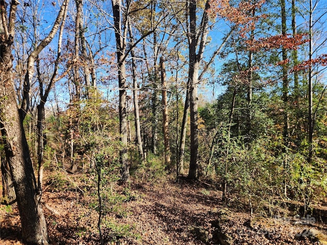 451 Low Bridge Rd, Forest City, NC 28043