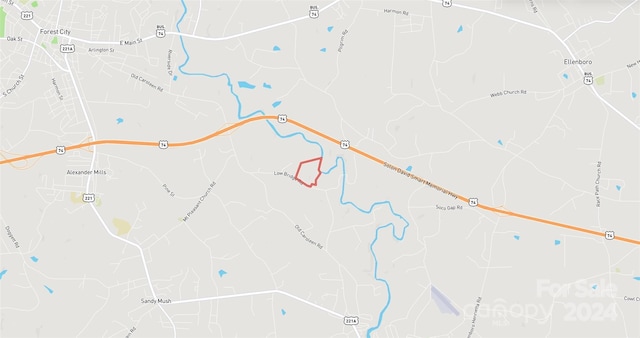 451 Low Bridge Rd, Forest City, NC 28043