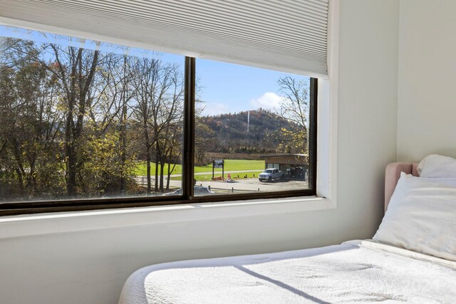 bedroom with multiple windows