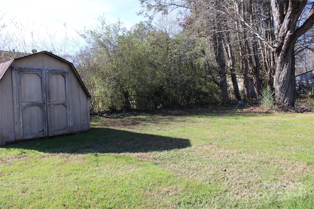 view of yard with a storage unit