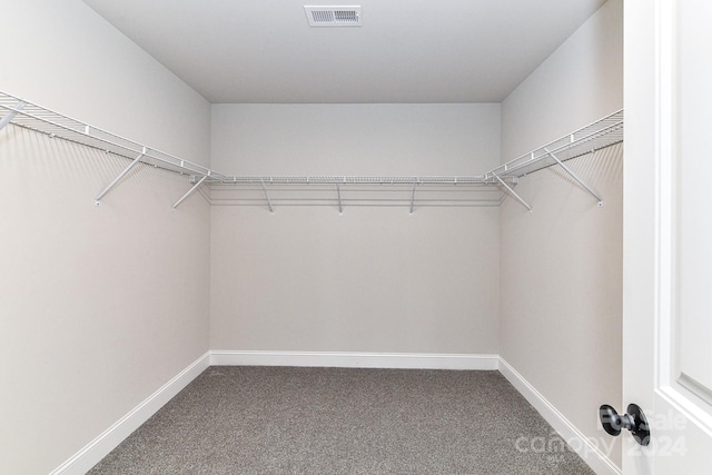 spacious closet with carpet