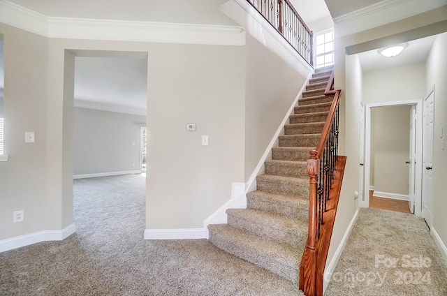 stairway with carpet floors and crown molding