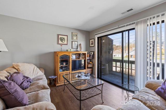 living room featuring hardwood / wood-style floors