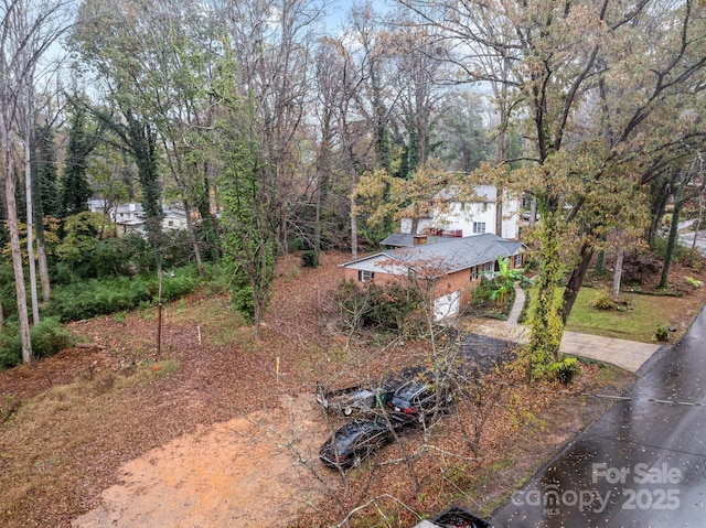 view of yard with a garage