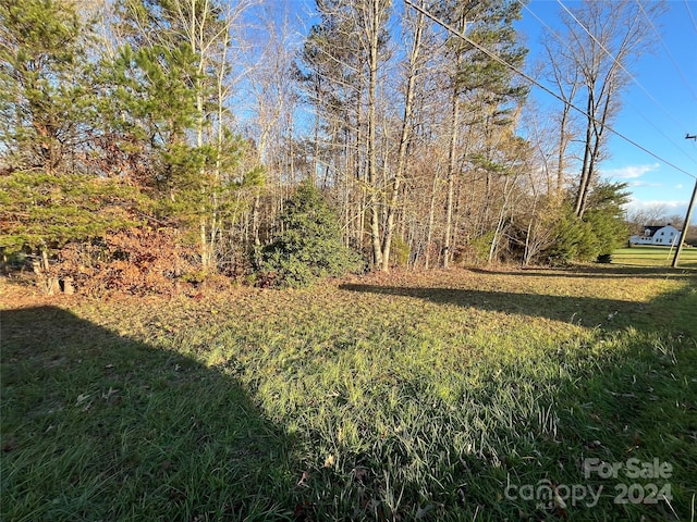 Listing photo 3 for TBD NC-16 Highway, Taylorsville NC 28681