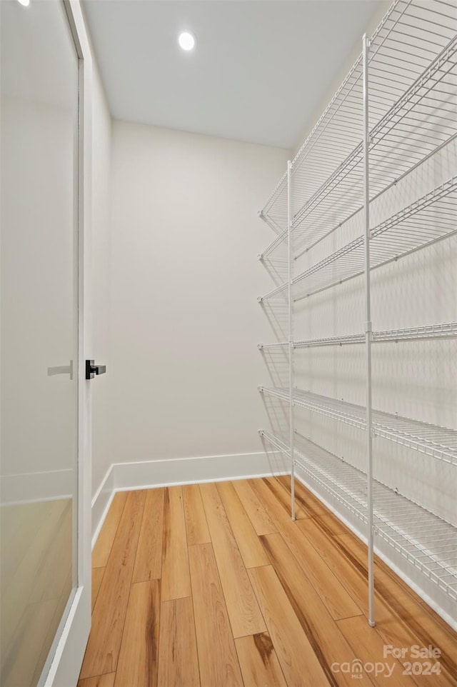 spacious closet featuring wood-type flooring