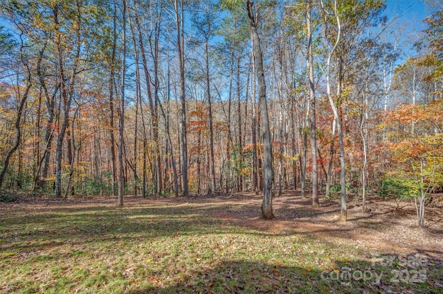 view of yard with a view of trees