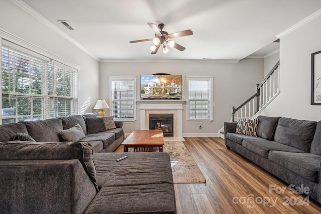 living room featuring plenty of natural light, ceiling fan, light wood-type flooring, and crown molding