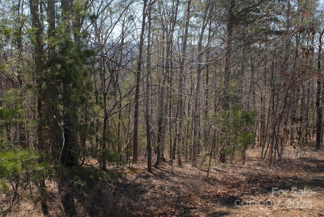 view of local wilderness