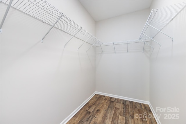 spacious closet with dark wood-type flooring