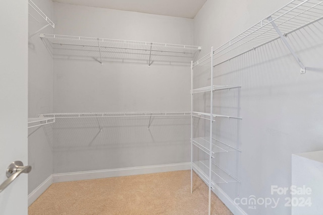 walk in closet with carpet