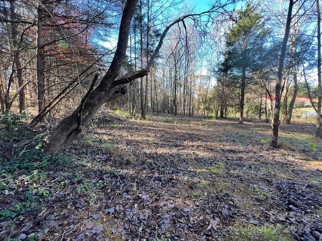 4541 Hall Dairy Rd, Claremont, NC 28610 - view of yard