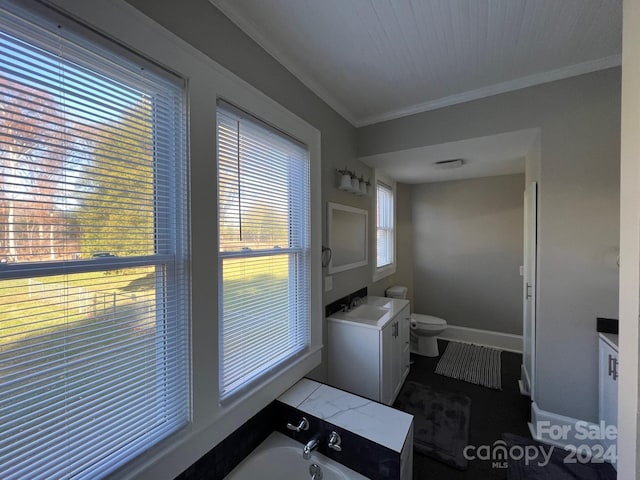 bathroom with vanity, toilet, ornamental molding, and a washtub