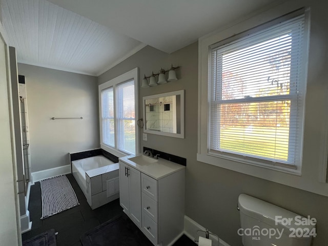 bathroom featuring vanity, a tub to relax in, toilet, and a healthy amount of sunlight