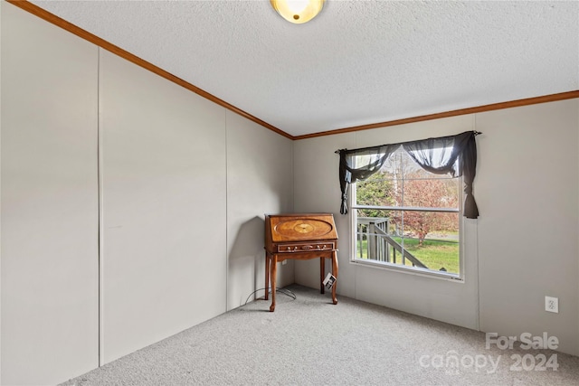 misc room with crown molding, carpet floors, and a textured ceiling