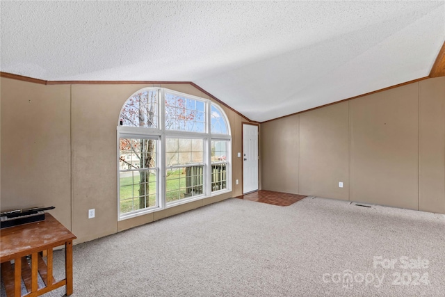 interior space with lofted ceiling and a textured ceiling