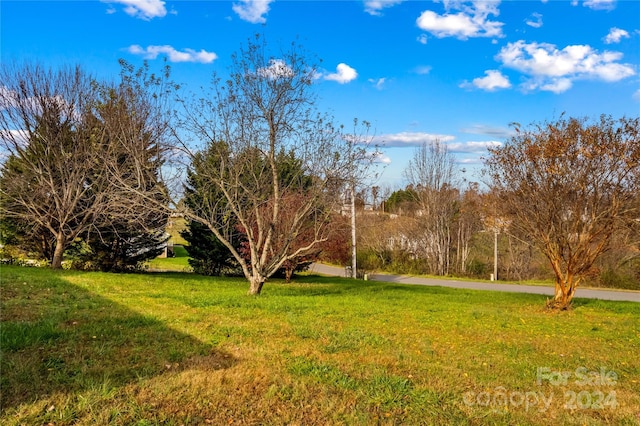 227 Grassy Meadow Ln, Statesville, NC 28625 - photo 47