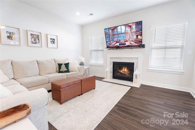 living room featuring wood-type flooring