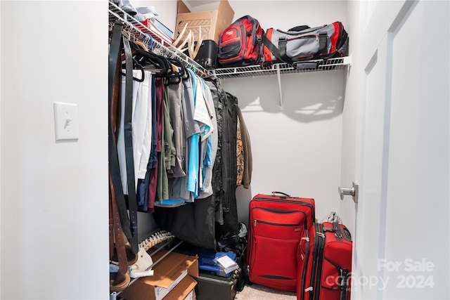 view of spacious closet