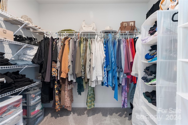 walk in closet with carpet