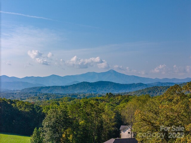 3 Bridgeway Dr Unit 38, Candler, NC 28715 - view of mountain background with a heavily wooded area