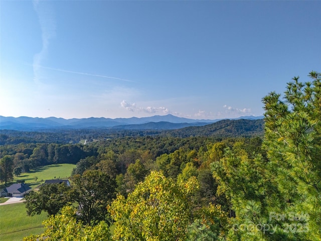 3 Bridgeway Dr Unit 38, Candler, NC 28715 - view of mountain background featuring a forest