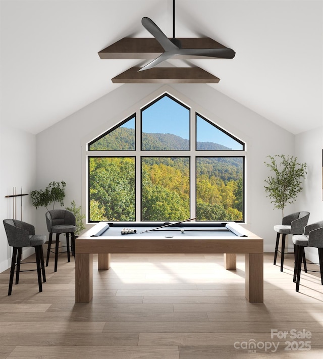 3 Bridgeway Dr Unit 38, Candler, NC 28715 - playroom with billiards, plenty of natural light, and wood finished floors