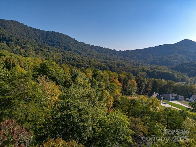 3 Bridgeway Dr Unit 38, Candler, NC 28715 - view of mountain background with a heavily wooded area