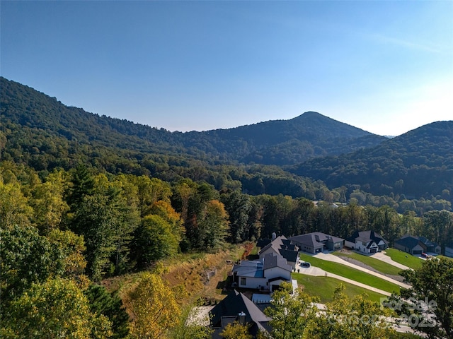 3 Bridgeway Dr Unit 38, Candler, NC 28715 - view of mountain backdrop featuring a forest