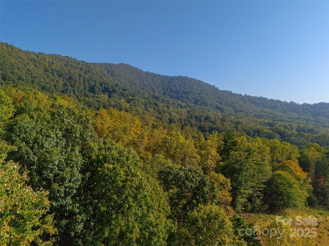 3 Bridgeway Dr Unit 38, Candler, NC 28715 - mountain view with a forest
