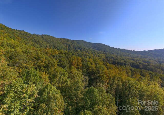 3 Bridgeway Dr Unit 38, Candler, NC 28715 - view of mountain backdrop featuring a heavily wooded area