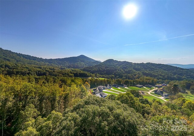 3 Bridgeway Dr Unit 38, Candler, NC 28715 - view of mountain backdrop featuring a forest