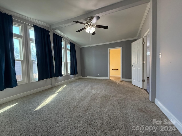 carpeted spare room featuring plenty of natural light, ceiling fan, beam ceiling, and crown molding