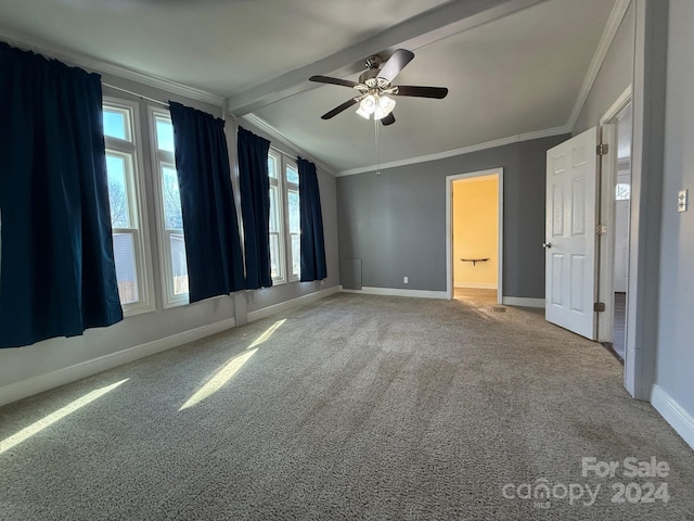 unfurnished bedroom with beam ceiling, ensuite bath, ceiling fan, crown molding, and light carpet