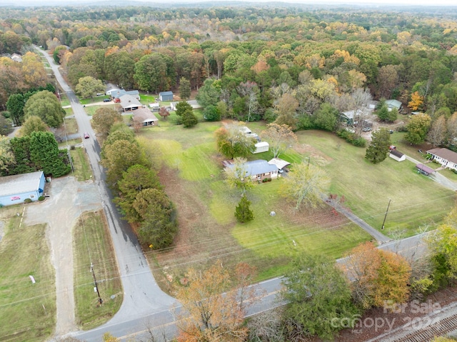 bird's eye view