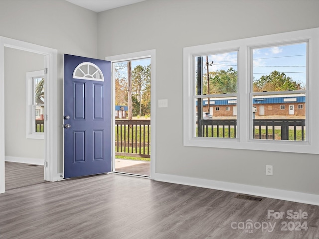 foyer with wood-type flooring and a wealth of natural light