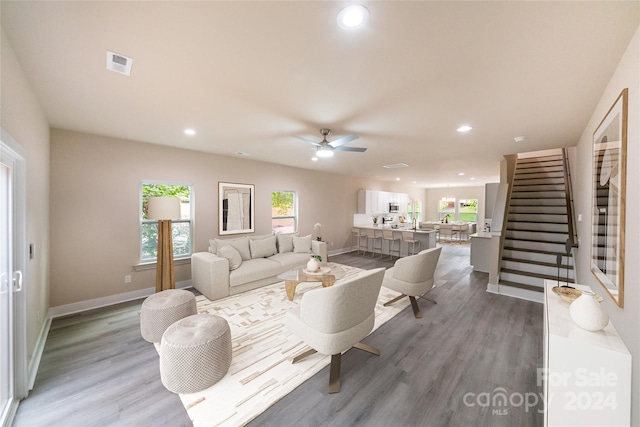 living room with ceiling fan and wood-type flooring