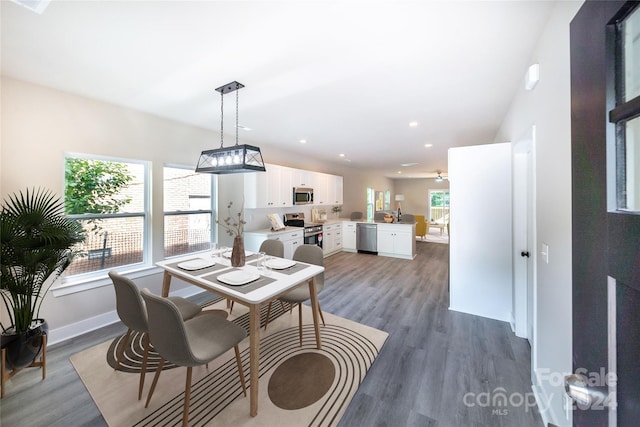 dining space featuring hardwood / wood-style flooring