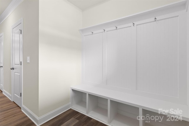 mudroom featuring dark wood-type flooring