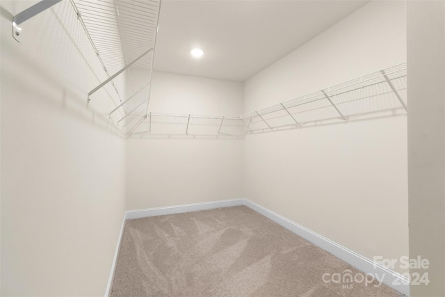 spacious closet with carpet flooring