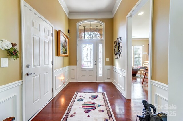 foyer entrance with a wealth of natural light, a wainscoted wall, and dark wood-type flooring