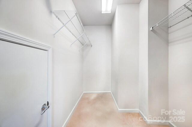 spacious closet with carpet floors