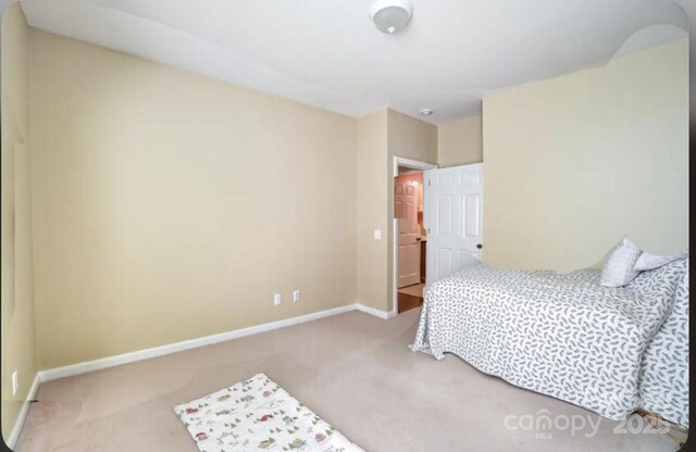 2221 Hartwell Ln, Fort Mill, SC 29707 - photo 26