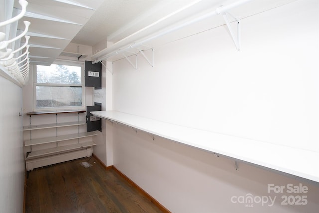 spacious closet featuring dark wood-type flooring and a baseboard heating unit