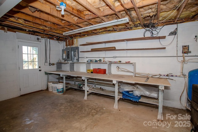 basement featuring a workshop area and electric panel