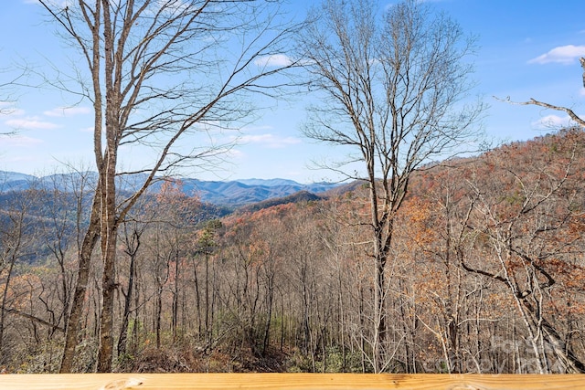 property view of mountains