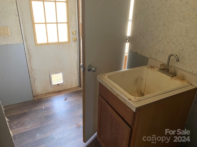 bathroom featuring wood-type flooring and sink