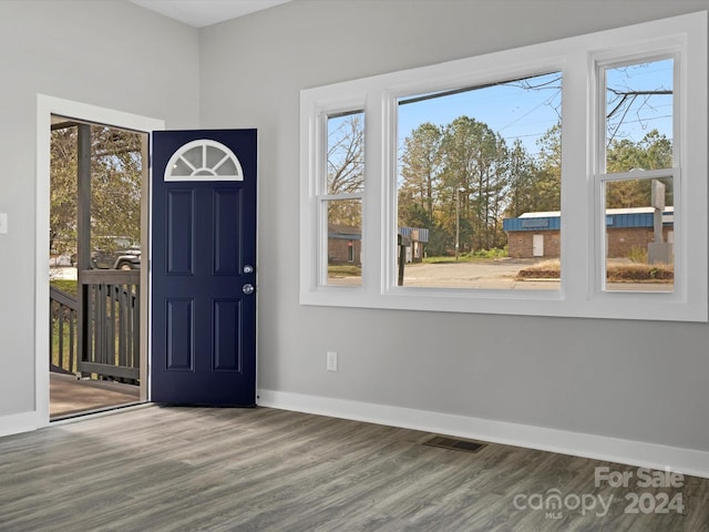 foyer with a healthy amount of sunlight and wood-type flooring