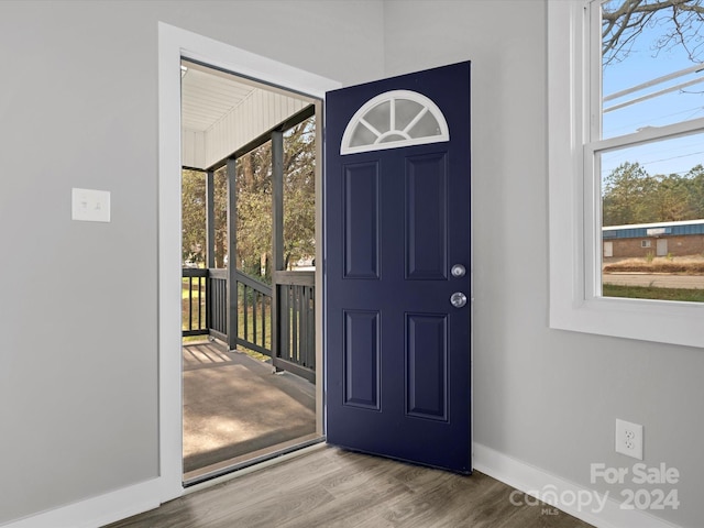 foyer with plenty of natural light and hardwood / wood-style floors